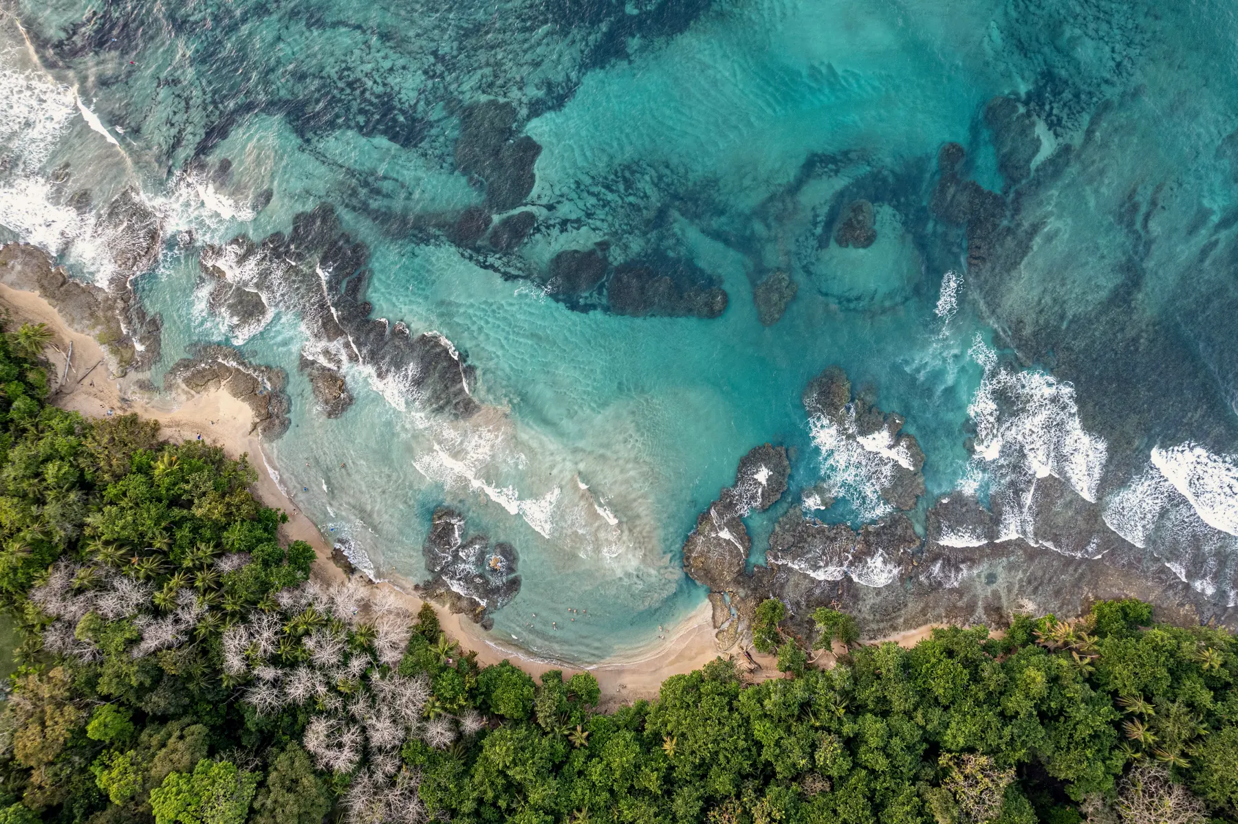 The north-east coast of Koh Samui from the air, reef and jungle meeting the shore